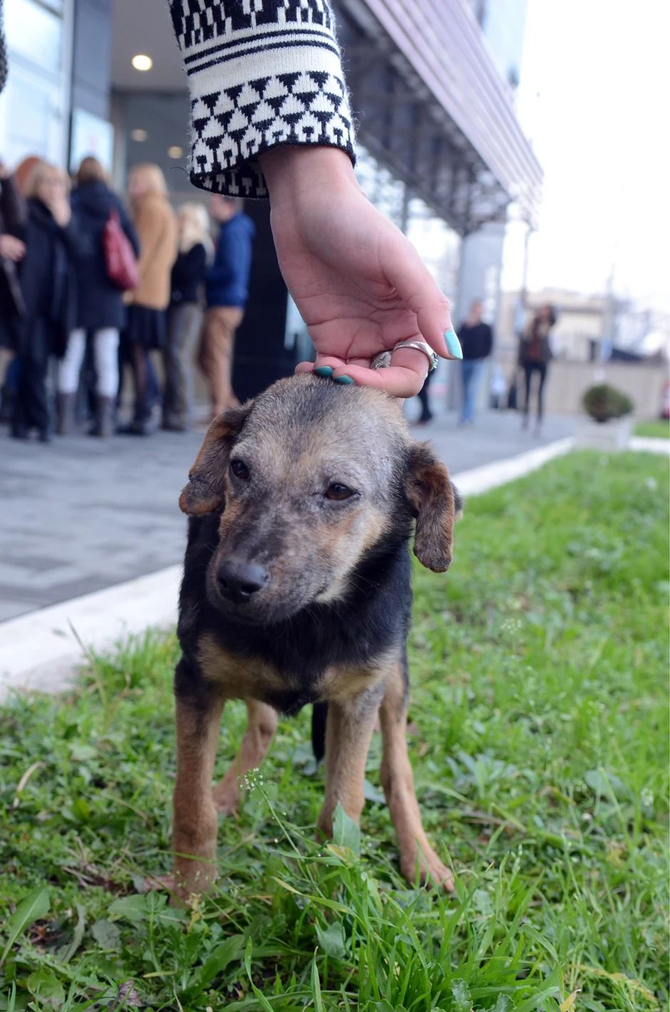 Kuca je u novembru došla ispred naše redakcije