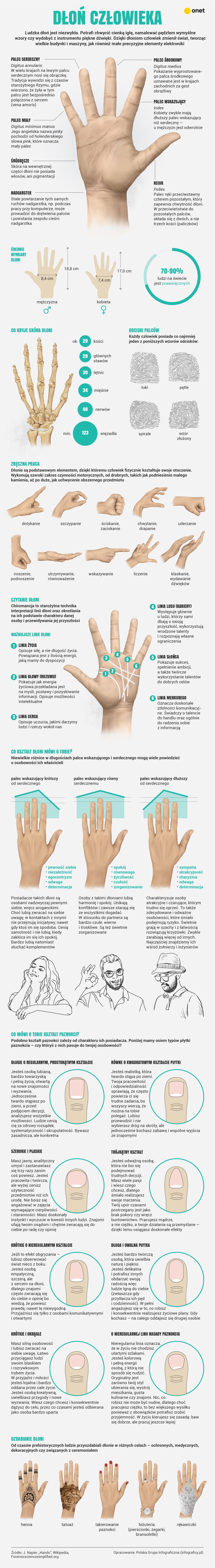 Dłoń człowieka [INFOGRAFIKA]
