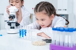 QUIZ z biologii na poziomie podstawówki. Sprawdź, ile pamiętasz