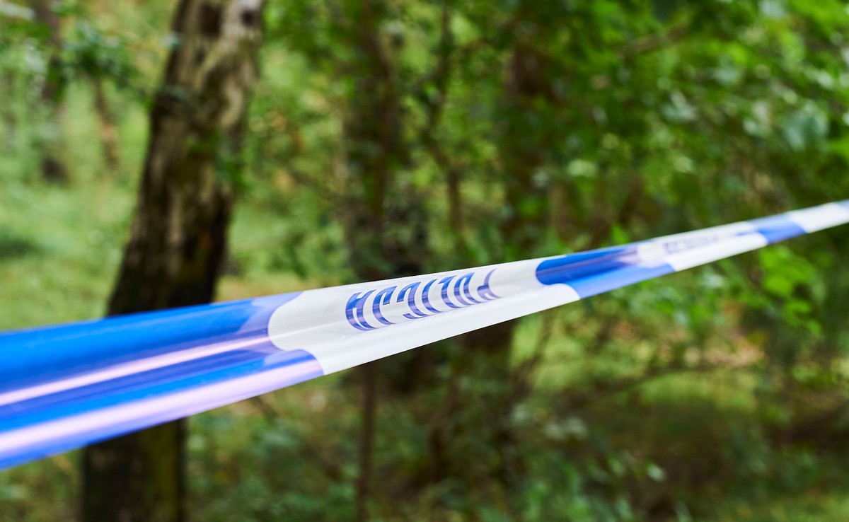 policyjne poszukiwania