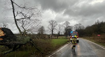 Silny wiatr nadciąga! Są ostrzeżenia IMGW dla Pomorza Zachodniego. Będą groźne podmuchy!