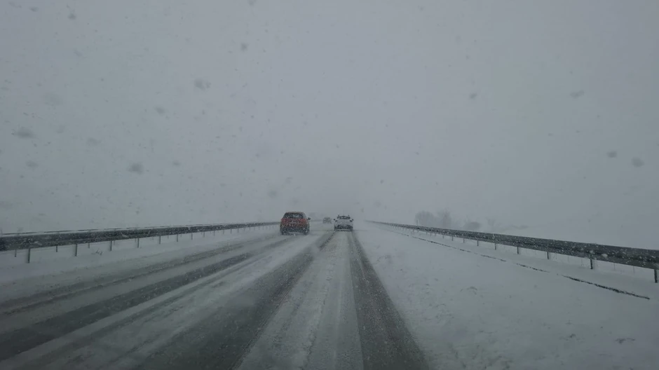 Auto-put Beograd - Subotica