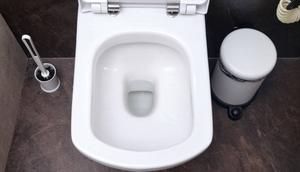 A photo of a toilet bowl