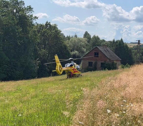 Wypadek podczas prac leśnych w Bruśniku