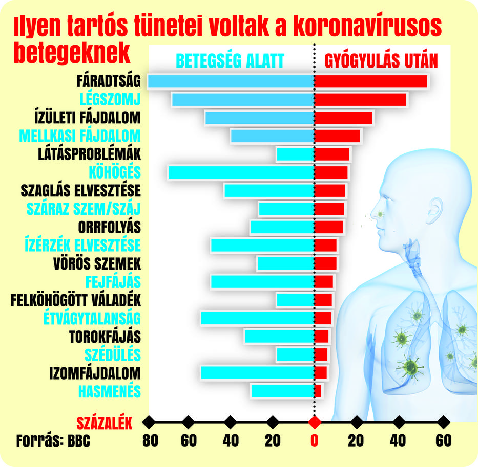 látó csicseriborsóért látás mínusz mit jelent az asztal