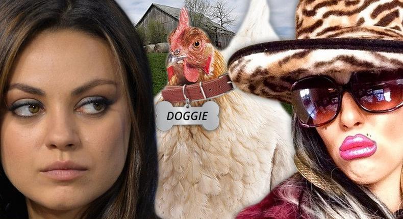 Mila Kunis accused of stealing chicken in Ukraine