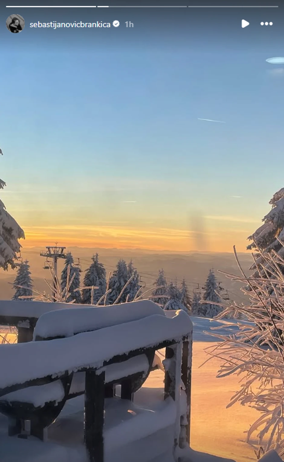 Brankica Sebastijanović