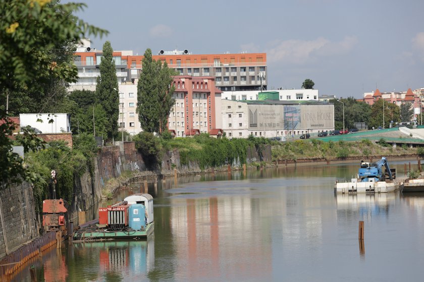 Odra w centrum Wrocławia