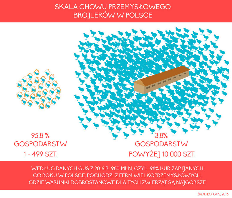 Skala chowu przemysłowego