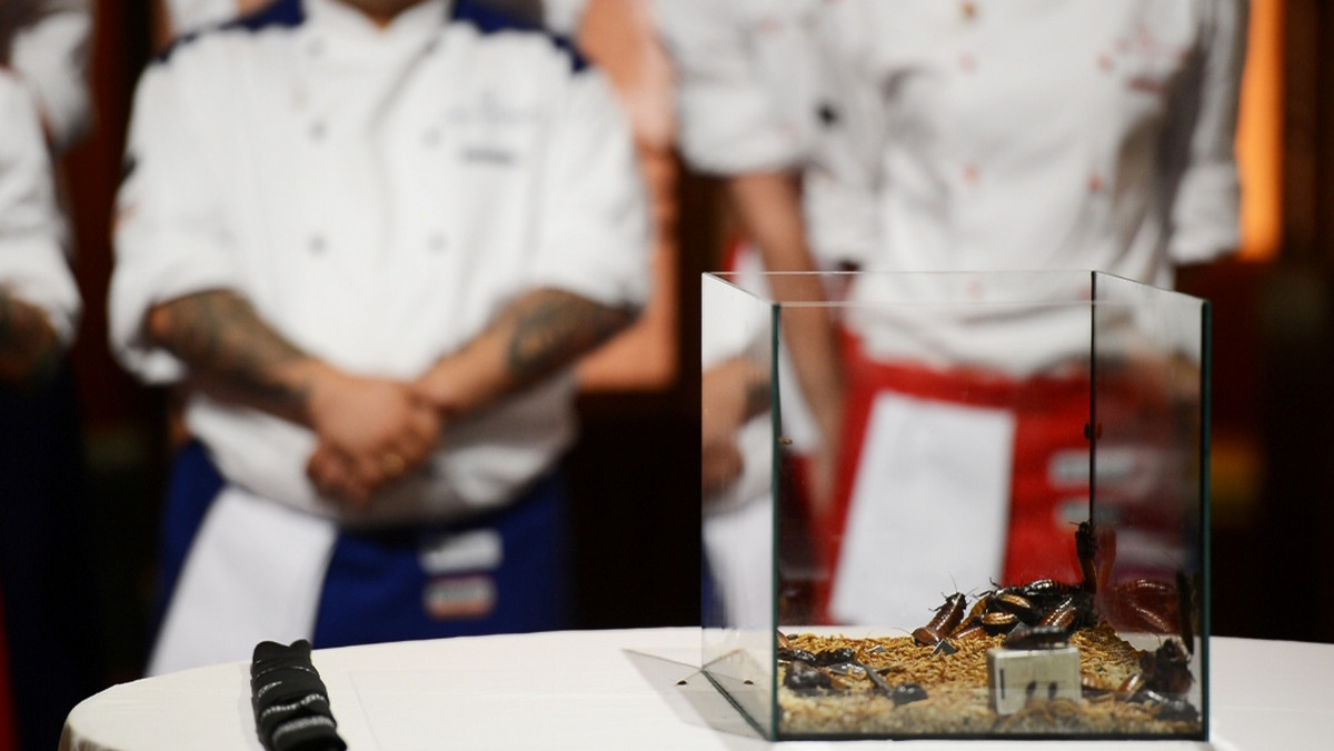 Karaczany i larwy mącznika zawitają do "Hell's Kitchen - Piekielna Kuchnia II". Uczestnicy, którzy przegrają zadanie, będą musieli zjeść dania z żywymi robakami!