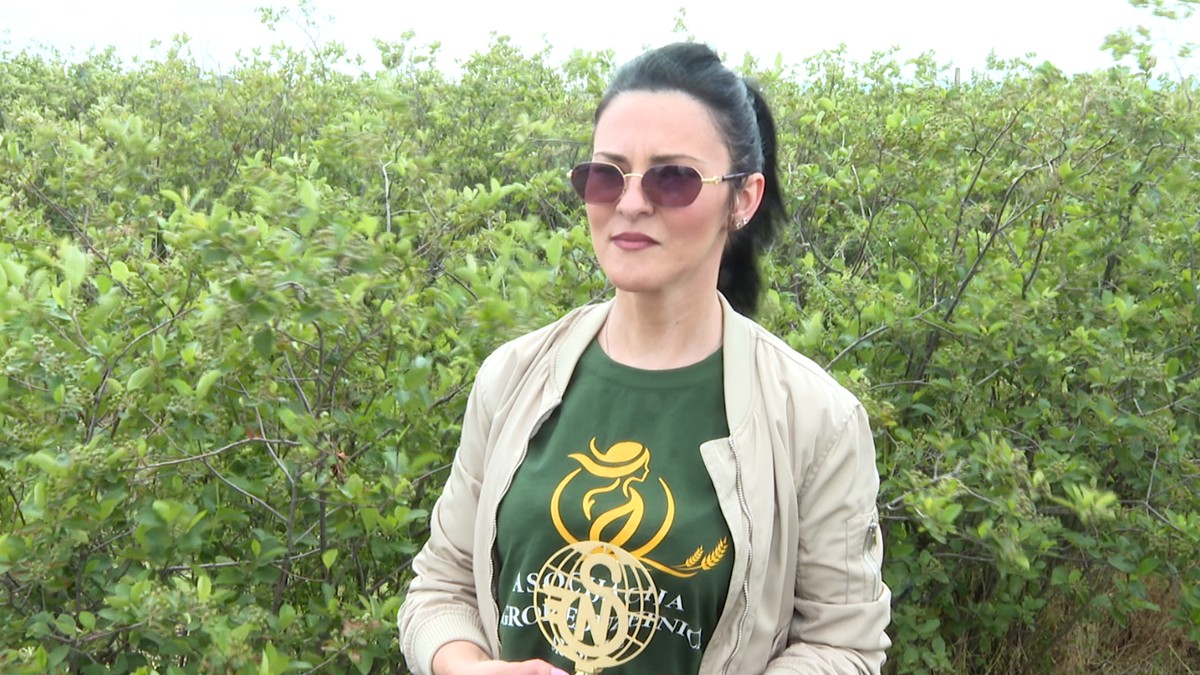 Ivana Marjanović, plantaža aronije