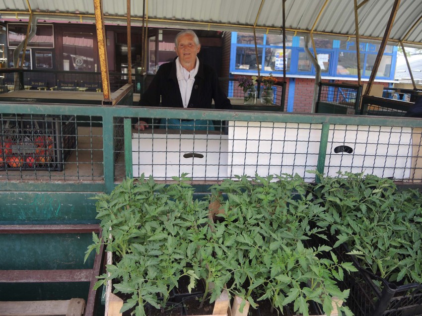 Na Zelenoj pijaci u Požegi zeleno samo pred Sajinom tezgom