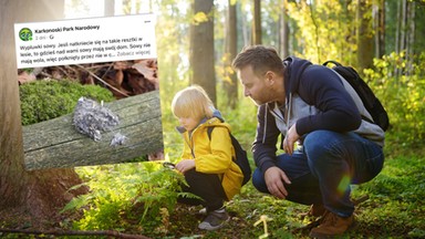 To nie śmieci z odkurzacza. Jeśli znajdziesz je w lesie, spójrz w górę