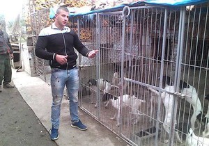 PROKUPLJE lazar veljkovic