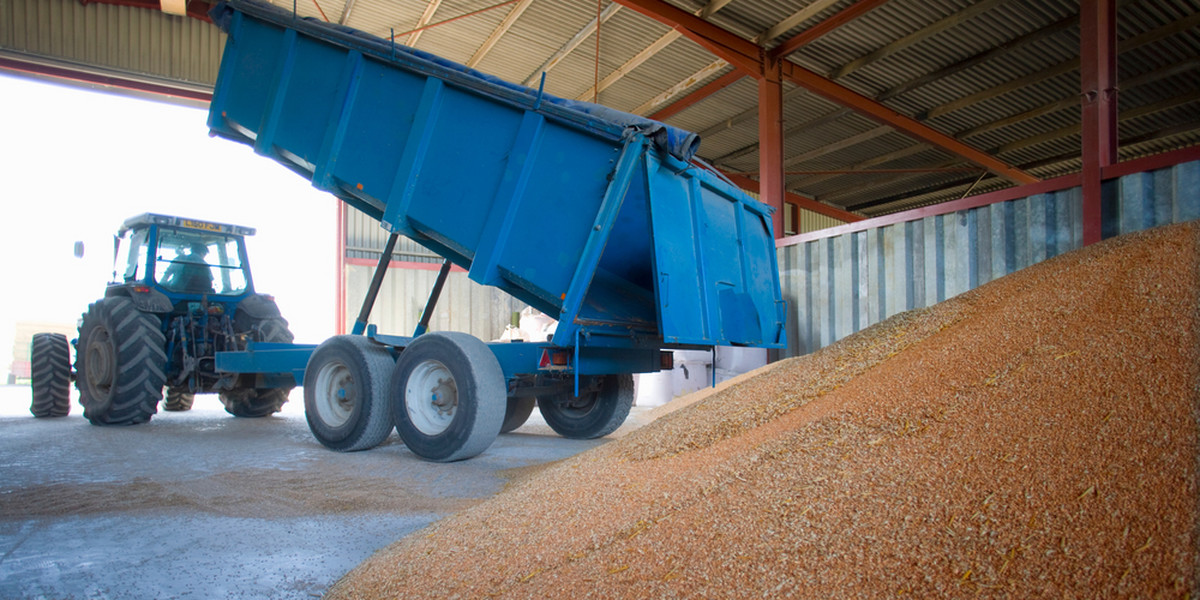 W trakcie majówki powinny wejść nowe przepisy KE regulujące kwestię zbóż z Ukrainy.