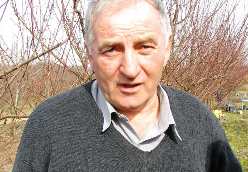 Dragoja Dojačinović