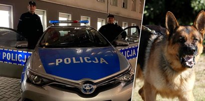 Szok w Sulejówku! Policjanci szukali.... odgryzionego nosa. Przez pół miasta wieźli go w kuchennej misce!