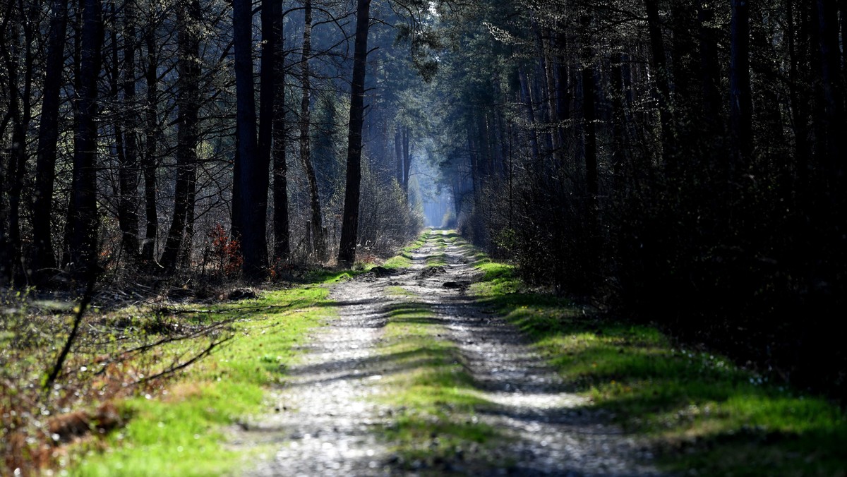 Zaskakujący finał powrotu z sanatorium. Wysłali list policjantom