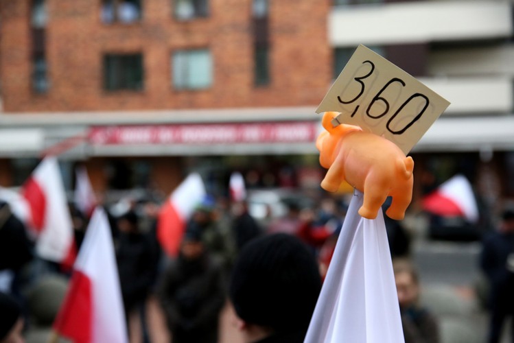 protest rolników