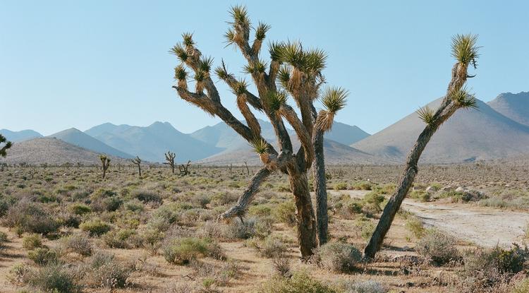 Az USA legmelegebb és legszárazabb pontja, a Halál-völgy Kaliforniában 