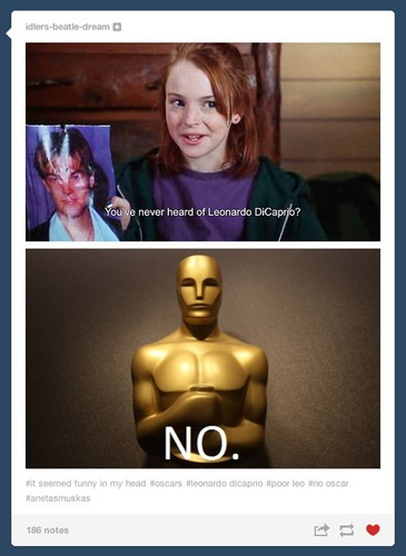 Leonardo DiCaprio - mem