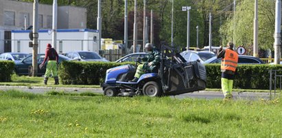 Nie za krótko i nie za często. Tak koszą dla ekologii