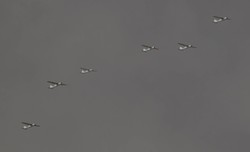 Brytyjski wywiad: Rosja traci drony