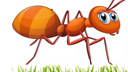 Mrówka Kredyt - nieuczciwa firma pożyczkowa
