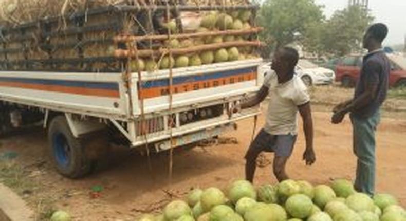 Customs intercepts 400 bags of smuggled rice concealed under water melons. [NAN]