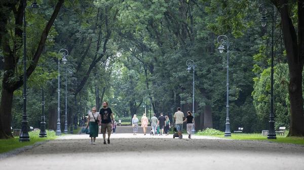 Park Skaryszweski został zaprojektowany przez ówczesnego głównego ogrodnika Warszawy Franciszka Szaniora. Od 1973 roku park znajduje się w rejestrze zabytków.