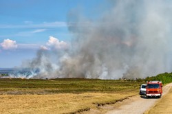 "Odłamki mogą lecieć bardzo daleko". W Niemczech płoną lasy pełne niewybuchów