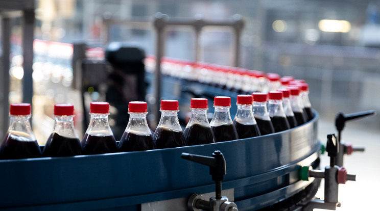 Éveken belül teljesen papíralapú lehet az üdítőitalok csomagolása / Fotó: Coca-Cola