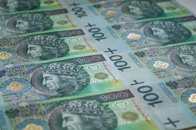 Szwed: Fala upadłości nie grozi polskim bankom