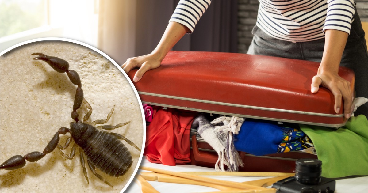 Turystka trafiła do szpitala po niebezpiecznym incydencie. Została zaatakowana w hotelu