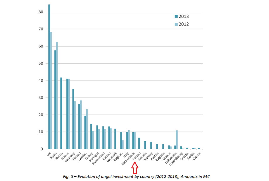 Inwestycje aniołów biznesu w poszczególnych krajach (lata 2012-13) w mln euro