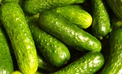 Polacy masowo kupują te ogórki. Lekarka ostrzega: Nie dajcie się wkręcić