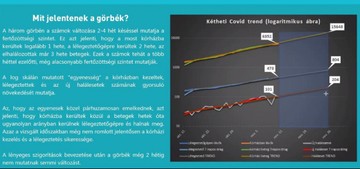 A lélegeztetőgépre kerülők számával párhuzamosan emelkedik a halálozások száma