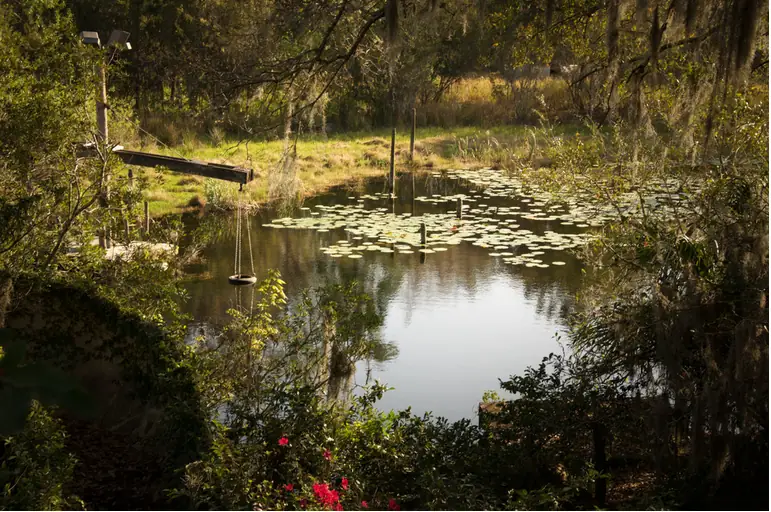 Natura zwycięża tu z kulturą