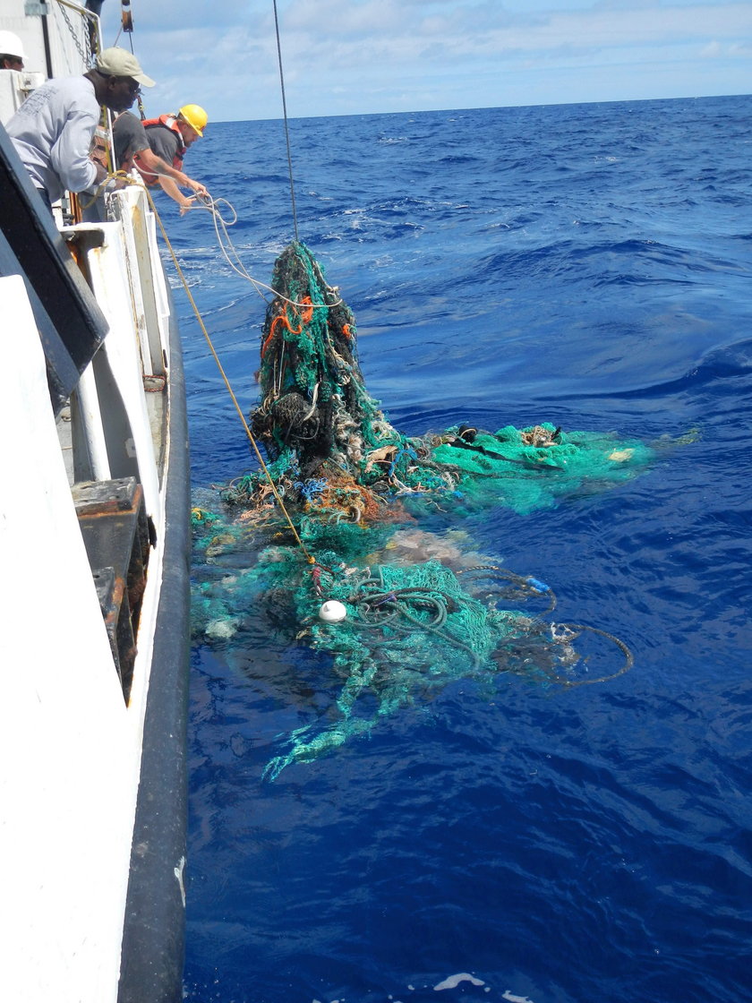 Niepokojące zjawisko w oceanie przybiera na sile. Naukowcy są przerażeni