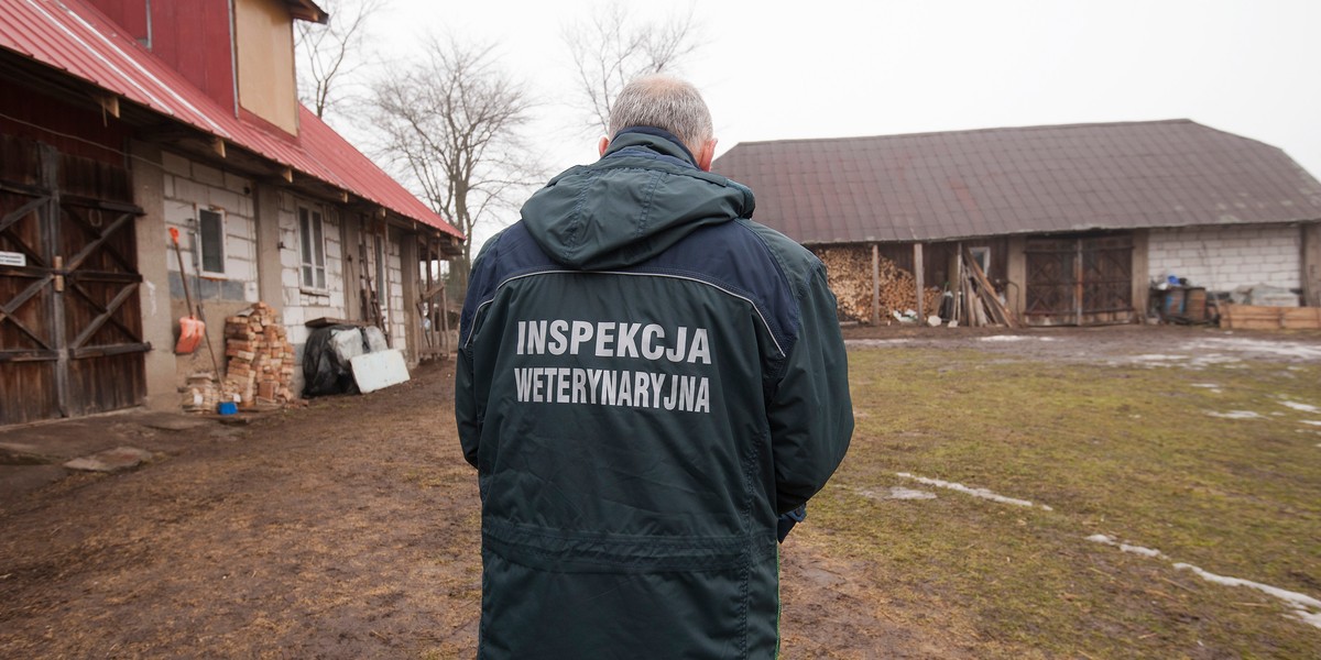 Pracownicy Inspekcji Weterynaryjnej chcą więcej zarabiać. W sieci publikują wysokość swoich zarobków