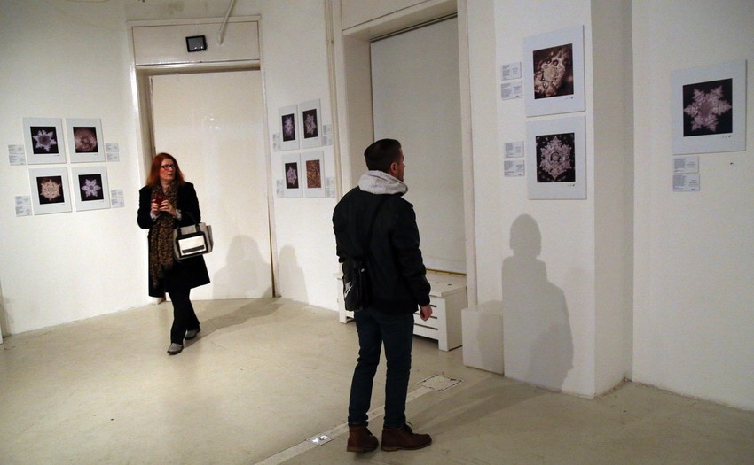 Spoj nauke i umetnosti: Sa izložbe "Kristali vode" u Galeriji 12HUB