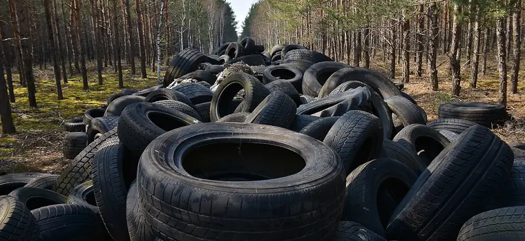 Setki opon wyrzucone w lesie. Znajdźmy sprawcę!