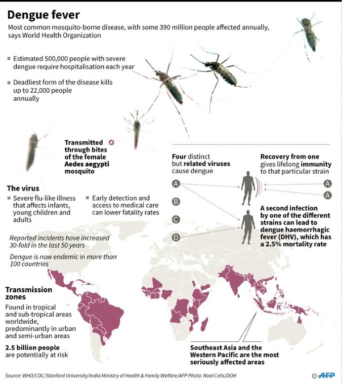 Factfile on dengue fever. 