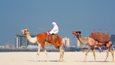 nie tylko influencerzy. do dubaju na wakacje poleciał minister obrony