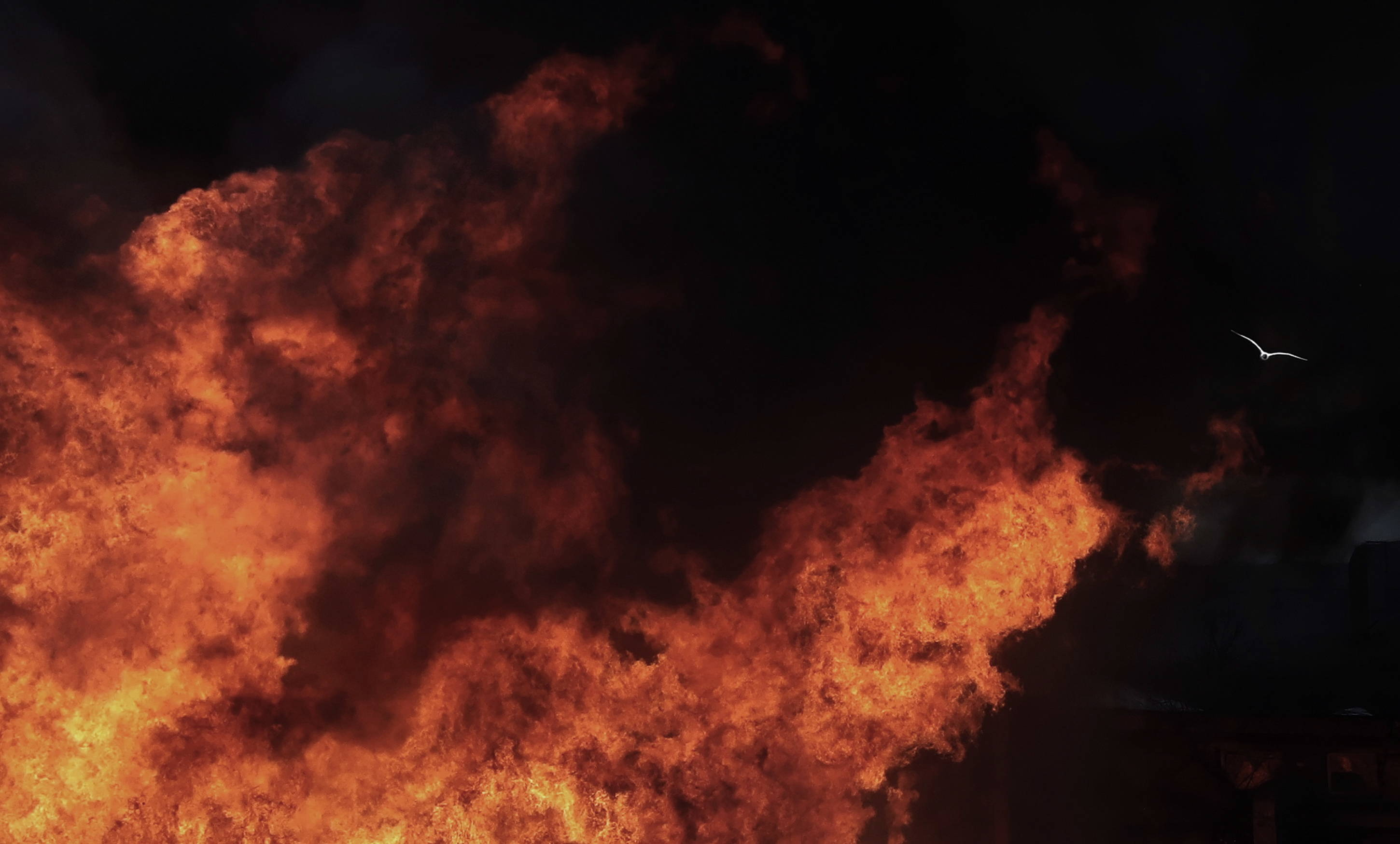 67 ukraińskich dronów nad Rosją: Moskwa zamyka lotniska