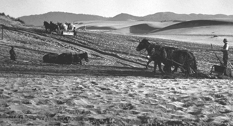 Sand dunes at the edge of the Richmond District for San Francisco's Golden Gate Park in the 1880s.