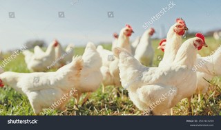 Alert DGP: Administracja sztuki pod lupą, polski wymiar sprawiedliwości i negocjacje w cieniu konfliktu AD AD AD