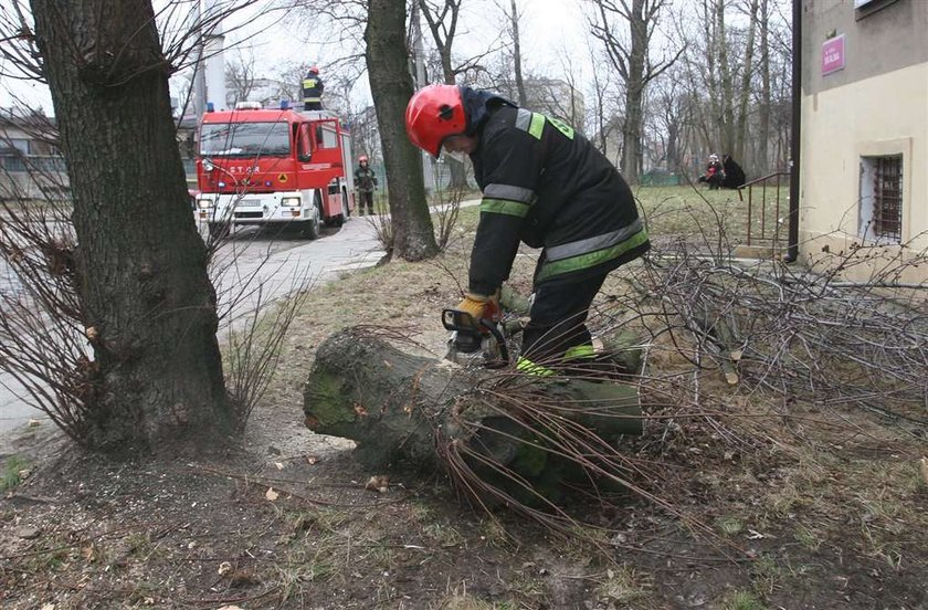 Huragan spustoszył Podkarpacie