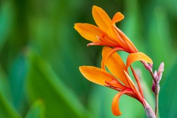 5-minutowy QUIZ z przyrody. Odpowiedz na 10 prostych pytań. Mniej niż 8/10 to lekki wstyd