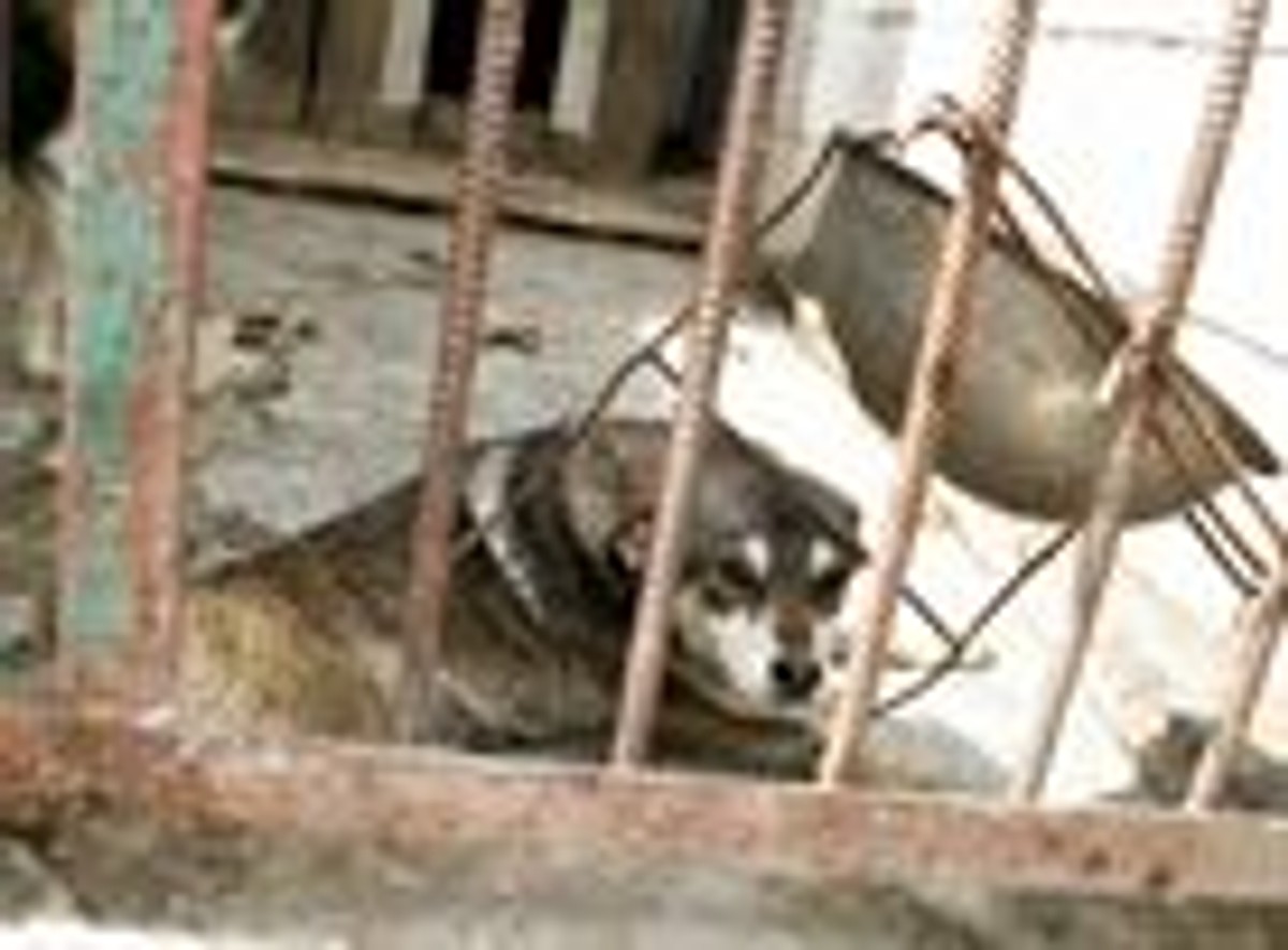 09.05.2007 Warszawa rozprawa w Trybunale Konstytucyjnym majaca na celu zbadanie wnioskow poslow SLD i Rzecznika Praw Obywatelskich oskarzajacych nowa ustawe lustracyjna proponowana przez PiS .Nz. Przedstawiciel sejmu Arkadiusz Mularczyk fot.Michal Rozbicki